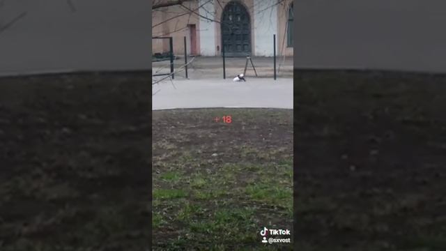 +18 Ворона ходила в магазин смотреть онлайн