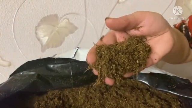 Агробалт - обзор торфяного субстрата!