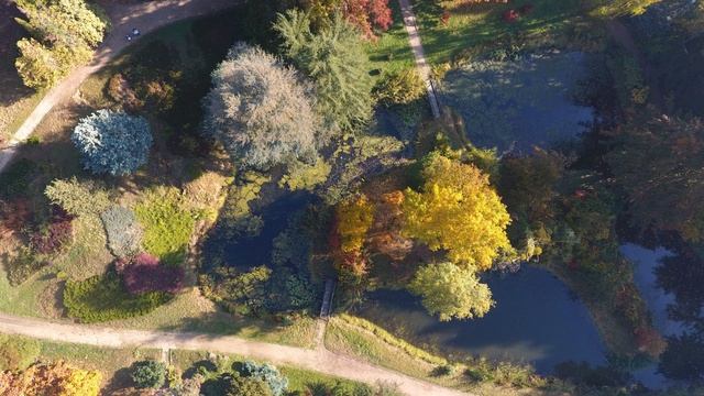 Deep color 48-bit, 281.5 trillion colors magic, in the performance of nature смотреть онлайн