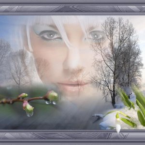 Перелетная птица