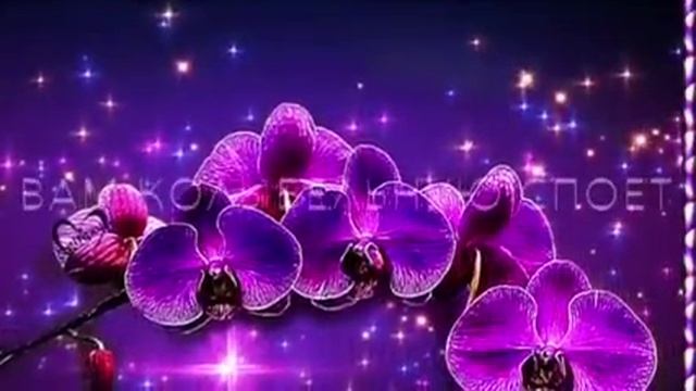 Спокойной ночи! Нежных снов! смотреть онлайн