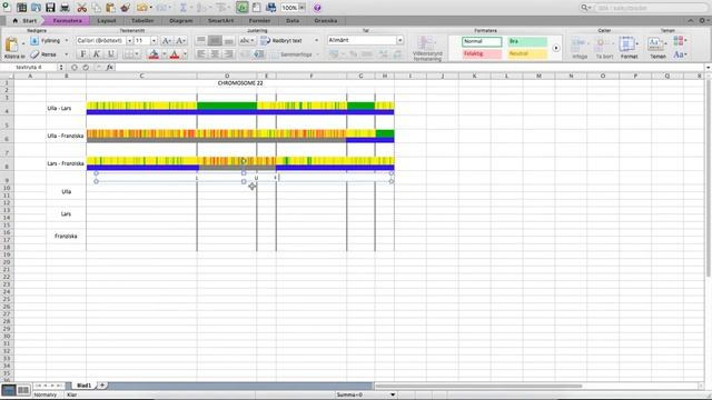 Visual Phasing of chromosome 20 using Excel смотреть онлайн