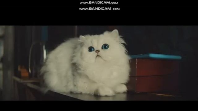 Правильная реклама. Магне B6 смотреть онлайн