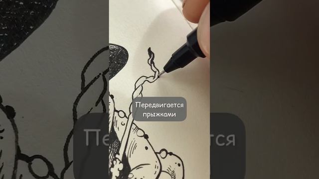 Рисую линером от Uni #рисование #художник #графика #скетчбук #иллюстратор #ква смотреть онлайн