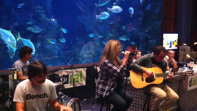Amaia Montero-Inevitable en el Aquarium de Donosti смотреть онлайн