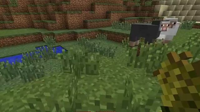 LP# 9 Minecraft Неудержимый Стив Часть 4(Не приручили) смотреть онлайн