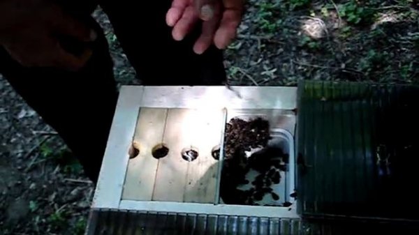 В гостях у матковода WIK часть 3