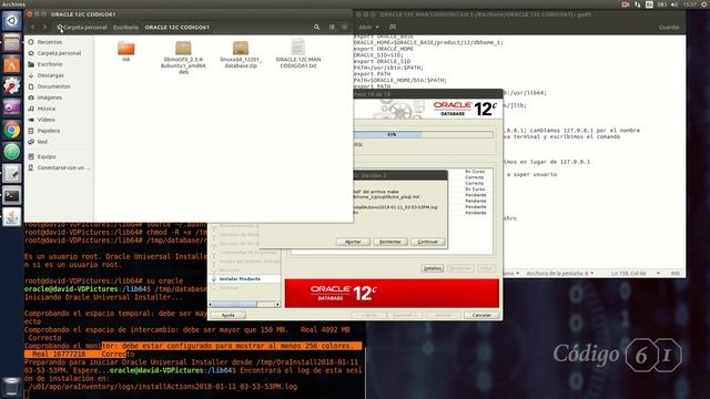 Instalar Oracle 12c en Linux | Ubuntu 16.04.3 | Linux Mint 18.3 смотреть онлайн