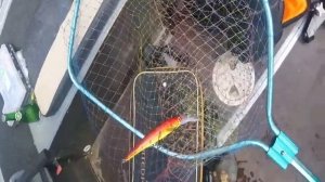 Рыбалка в Астрахани с егерем Саней троллинг 11 04 2017 г