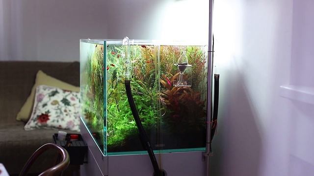 Помощник внесения удобрений в аквариум: Chihiros Dosing System