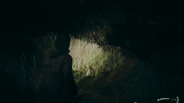 Cult Stash Key Location near Ranger Station (Watery) Alan Wake 2 смотреть онлайн