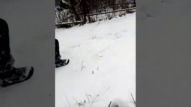 Попали в каменный век часть 2 смотреть онлайн