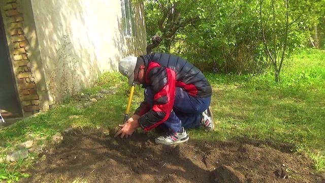 14 Выкопал фиолетовый Алмаз на даче (2).mp4 смотреть онлайн