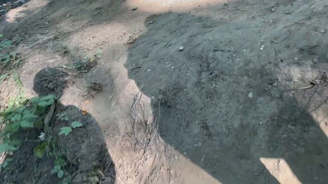 Калининград 10.08.2022 смотреть онлайн