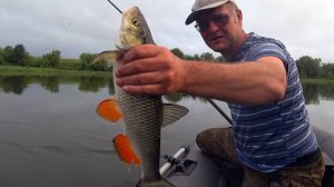 Вот это они загибают. Удочка поскрипывает. Наконец проснулись кони.