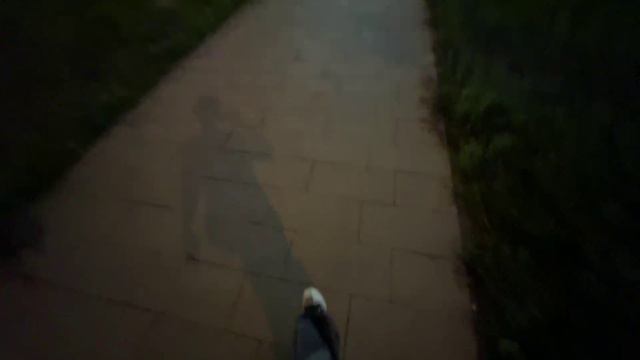 ВАНГА ВЫГНАЛИ ИЗ АВИАПАРКА