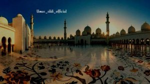 Сура аль-Му"минун | Умар Сильдинский.