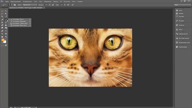 Как найти нужный инструмент в Adobe Photoshop смотреть онлайн