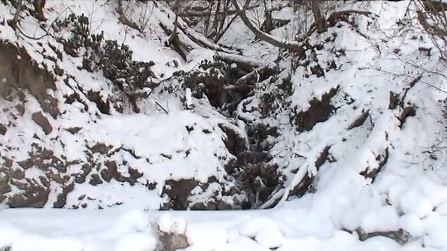 Реконструкция лесохозяйственной и противопожарной автомобильной дороги Тирольский домик    плато Ро