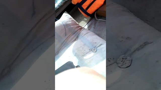 Едет за правами в ГИМС... смотреть онлайн