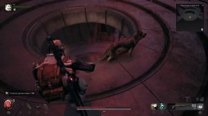 Секрет в убежище астропата! Кольцо переменного ограничения! Remnant 2