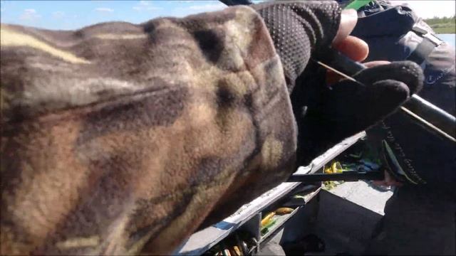 Щука на  Big Miuras Mouse. Pike Catch And Release