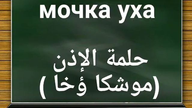 أعضاء الجسم باللغه الروسيه смотреть онлайн