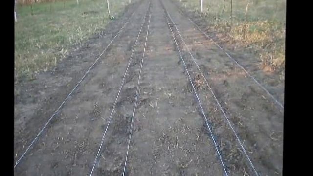 Посадка шафрана 05 смотреть онлайн