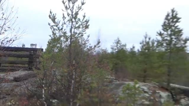 Чудо-Полотенце/ Гуляем в Осеннем Лесу/ Зашли в Кафе/ смотреть онлайн