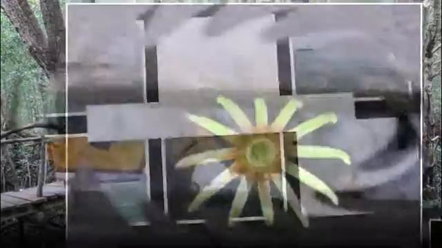 Занзибар. Обезьяны. Черепахи. Тропики. Мангровый лес смотреть онлайн