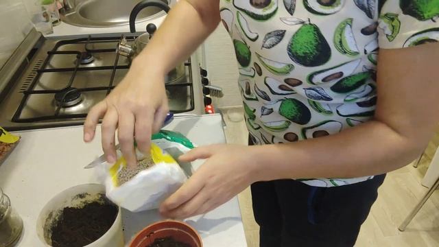Живучие герани,два месяца черенки без полива смотреть онлайн