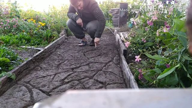 дорожка с арт-бетона. декоративный камень своими руками. смотреть онлайн