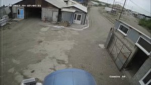 Как убивают собак 1