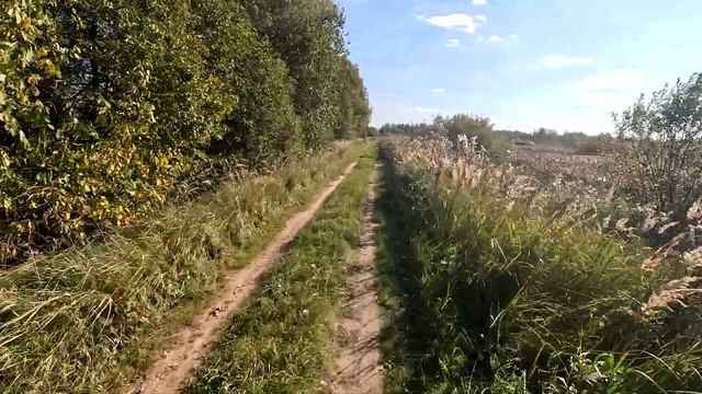 Механизированная Бригада из Солнечногорска снова едет по насыпи заброшенного Рыбхоза 2.0