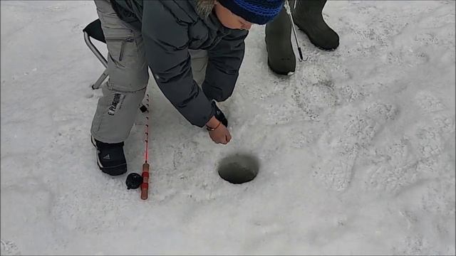 Обзор с верхнего. Клёвое место Лосиный остров. смотреть онлайн