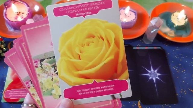 Весточка от любимого питомца ушедшего в мир иной ✨️ ????