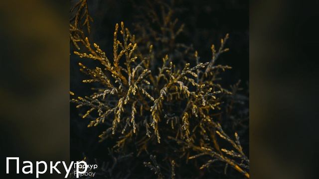 Flipboy - Лучшее 2020 смотреть онлайн