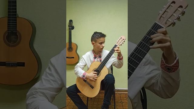 Юрченко Святослав 2 клас Обр. Ю.Шевченка Українська народна пісня "Несе Галя воду" смотреть онлайн