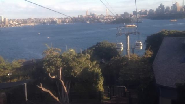 Emil Minty at Taronga Zoo Sydney Australia Skyway Safari.MOV смотреть онлайн