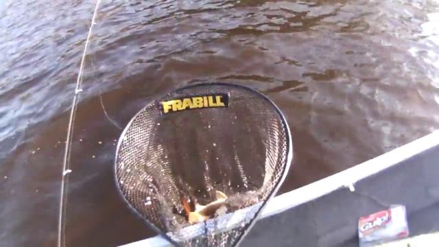 Berkley Gulp 4" Crawlers to Catch Bass and Walleyes смотреть онлайн