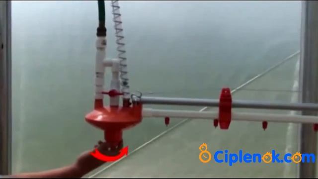 Регулятор давления воды в системе ниппельного поения смотреть онлайн