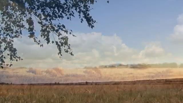 Гляжу в озера синие (минус) смотреть онлайн