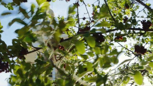 Весна в Черном Отроге смотреть онлайн