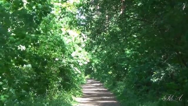 ♡ Высокая тоска звенит смотреть онлайн