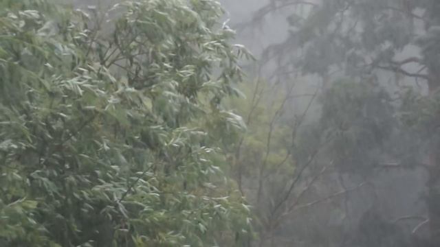 Буря! Скоро грянет буря!