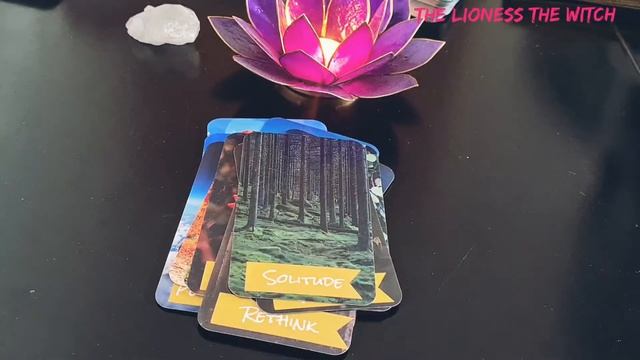 Self Created Tarot & Oracle Decks By Sumlee Forrest смотреть онлайн