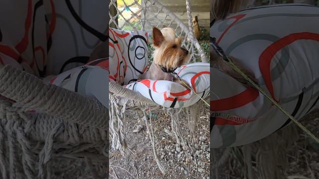 #лето за 1 минуту