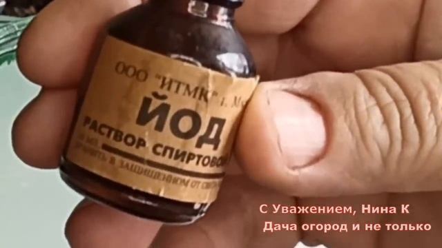 СУПЕР ПОДКОРМКА ДЛЯ УВЕЛИЧЕНИЯ УРОЖАЯ ПОМИДОРОВ!ВНЕСИТЕ ЙОД И БОРНАЯ КИСЛОТА ДЛЯ ТОМАТОВ! смотреть онлайн