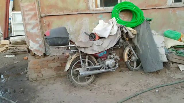 Зелёные яица, откуда они появляются в русской деревне? Сенсация! смотреть онлайн