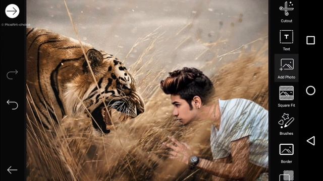 Vijay mahar tiger photo editing | Vijay mahar latest photo editing | animal lover photo editing смотреть онлайн